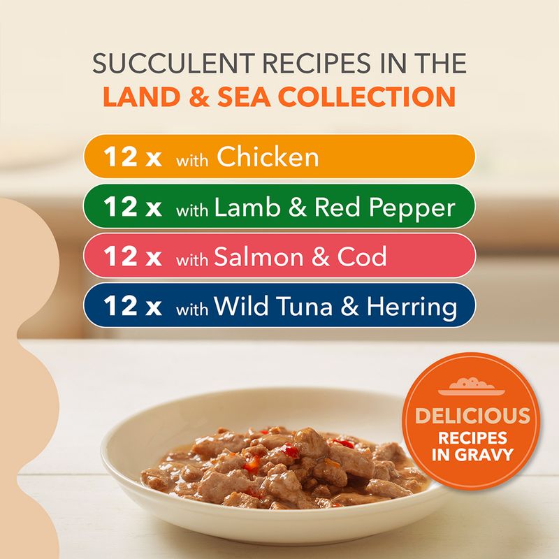 IAMS Advanced Nutrition Senior Land & Sea Collection in Gravy || undefined || view 7