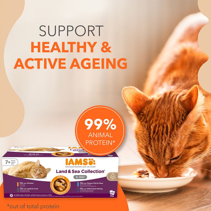 IAMS Advanced Nutrition Senior 7+ Land & Sea Collection in Jelly || IAMS || view 2