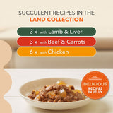 IAMS Advanced Nutrition Senior 7+ Land Collection in Jelly || IAMS || view 5