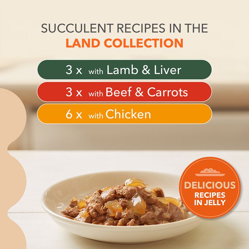 IAMS Advanced Nutrition Senior 7+ Land Collection in Jelly || IAMS || view 5