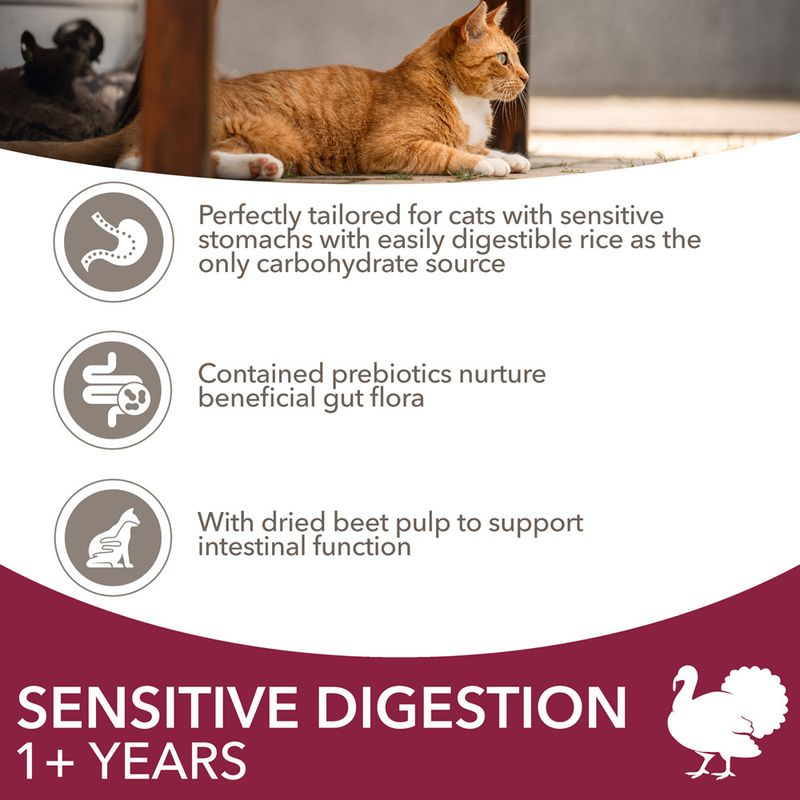 IAMS Advanced Nutrition Sensitive Digestion with Turkey || IAMS || view 5