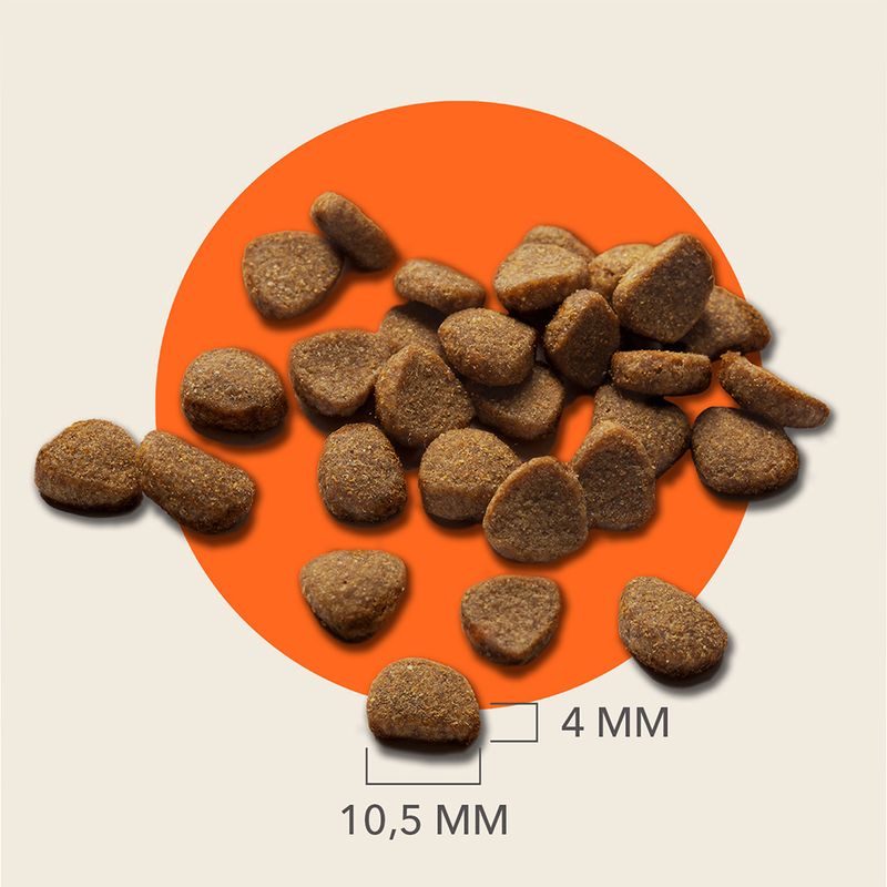 Kibble pieces shown with dimensions: each piece measures approximately 10.5 mm wide and 4 mm thick.