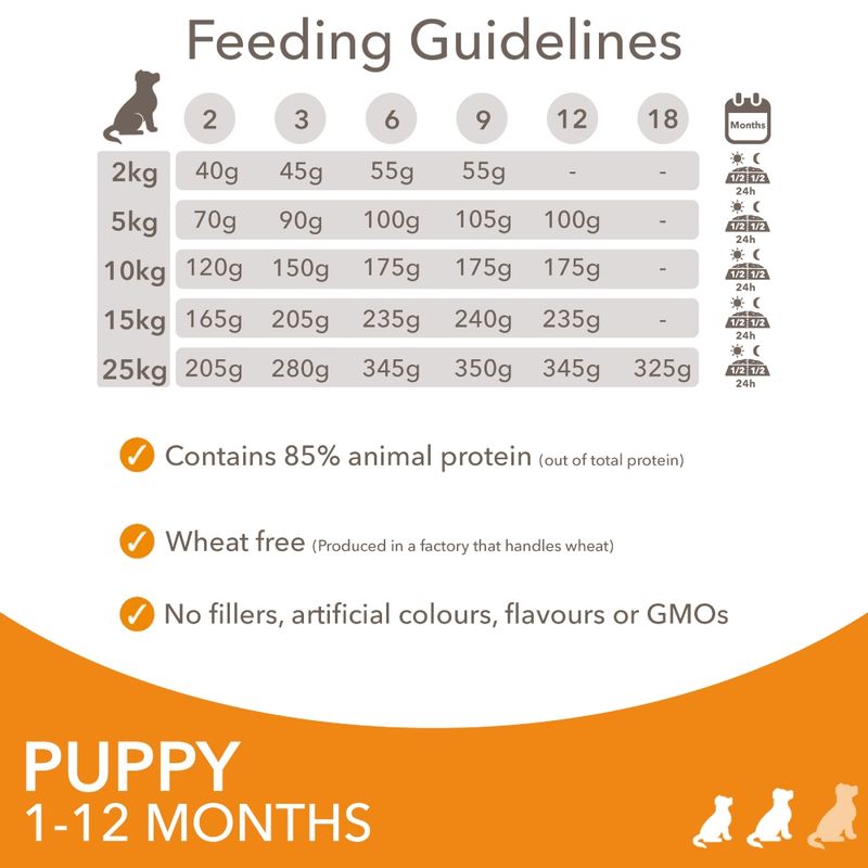 IAMS Advanced Nutrition Puppy & Junior Small & Medium Dog - Chicken || IAMS || view 6
