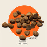 IAMS Advanced Nutrition Grain-Free with Ocean Fish || IAMS || view 6