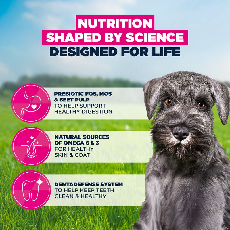 Eukanuba Premium Nutrition Puppy Small Breed Chicken
