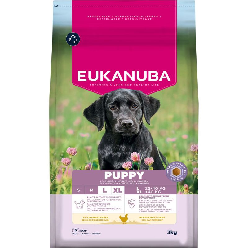 Eukanuba Premium Nutrition Puppy Large & Giant Breed Chicken