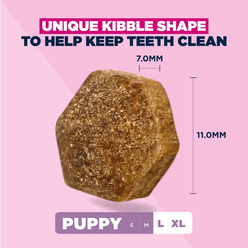 Eukanuba Premium Nutrition Puppy Large & Giant Breed Chicken