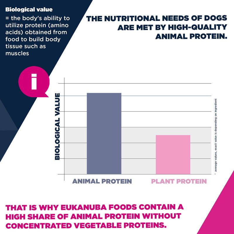 Eukanuba Premium Nutrition Junior Large & Giant Breed Chicken