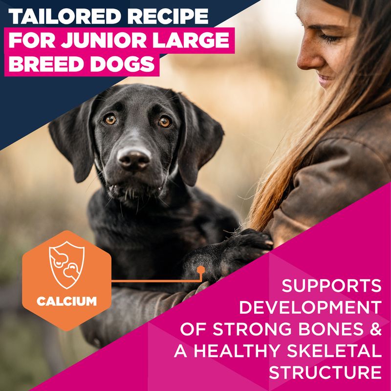 Eukanuba Premium Nutrition Junior Large & Giant Breed Chicken