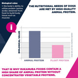 Eukanuba Premium Nutrition Puppy Large & Giant Breed Lamb & Rice