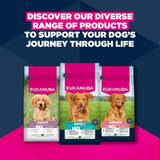 Eukanuba Premium Nutrition Adult Large & Giant Breed Lamb & Rice