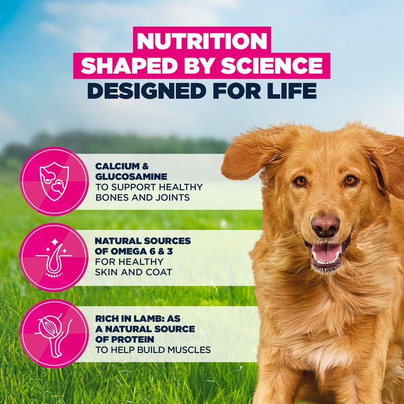 Eukanuba Premium Nutrition Adult Large & Giant Breed Lamb & Rice