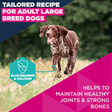 Eukanuba Premium Nutrition Adult Large & Giant Breed Salmon