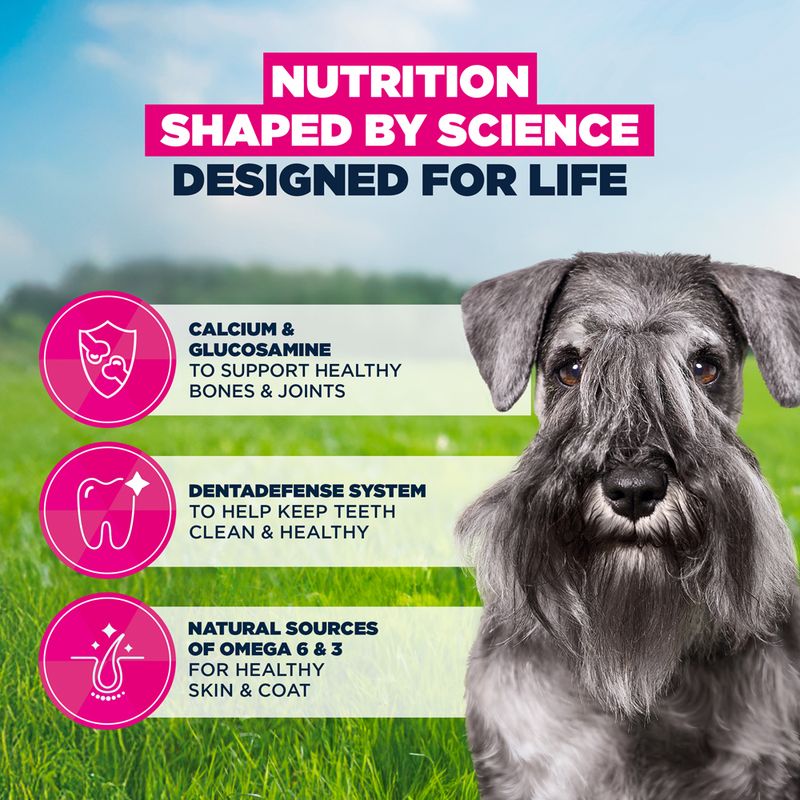 Eukanuba Premium Nutrition Mature Small Breed Chicken
