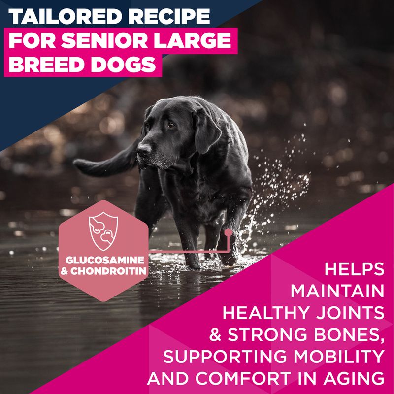 Eukanuba Premium Nutrition Senior Large & Giant Breed Chicken