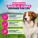 Eukanuba Premium Nutrition Senior Small & Medium Breed Lamb & Rice