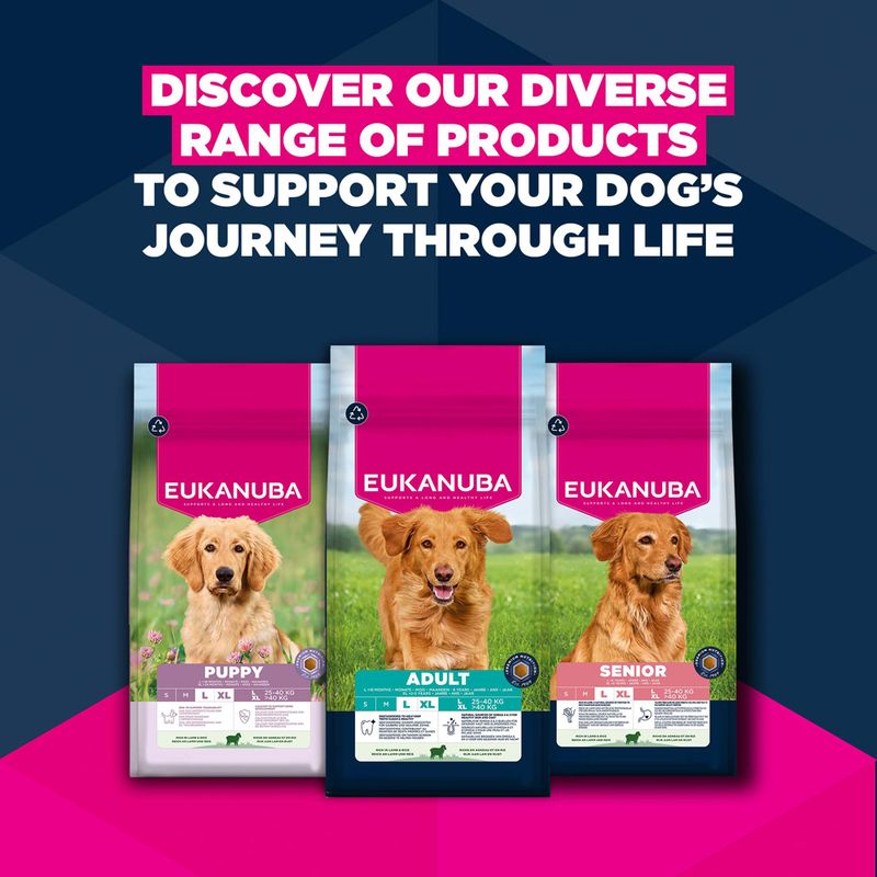 Eukanuba Premium Nutrition Senior Large & Giant Breed Lamb & Rice