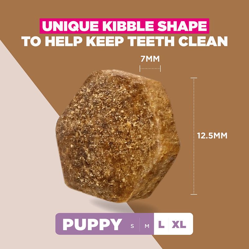 Eukanuba Grain Free Puppy Large & Giant Breed - Ocean Fish