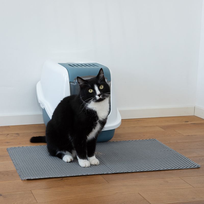 Black cat sitting in front of a closed litter box with grey mat on wooden floor.