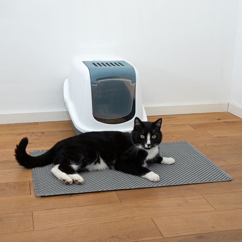 Closed cat litter box with grey mat in front, with a black and white tomcat lying on it. Shows use of the mat for cleanliness around the litter box.
