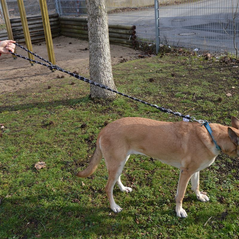 JULIUS-K9 IDC® Rope Lead || Julius-K9 || view 2