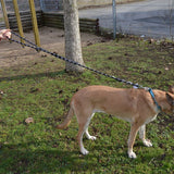 JULIUS-K9 IDC® Rope Lead || Julius-K9 || view 2
