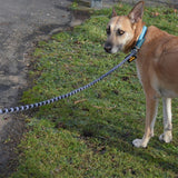JULIUS-K9 IDC® Rope Lead || Julius-K9 || view 5