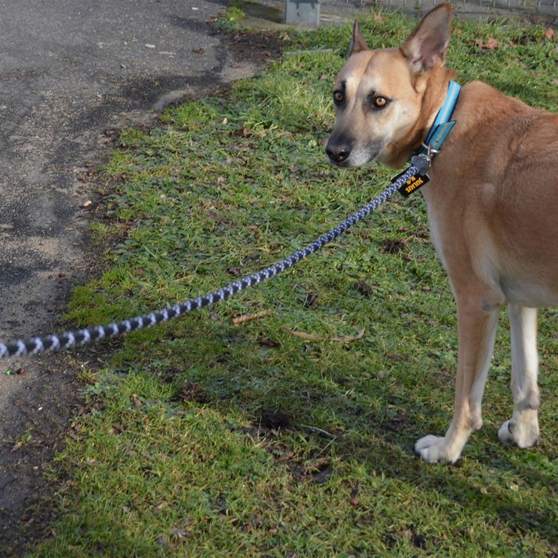 JULIUS-K9 IDC® Rope Lead || Julius-K9 || view 5