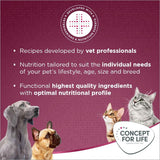 Recipes developed by vet professionals, nutrition tailored to individual needs, highest quality ingredients with optimal nutritional profile. Concept for Life brand shown.