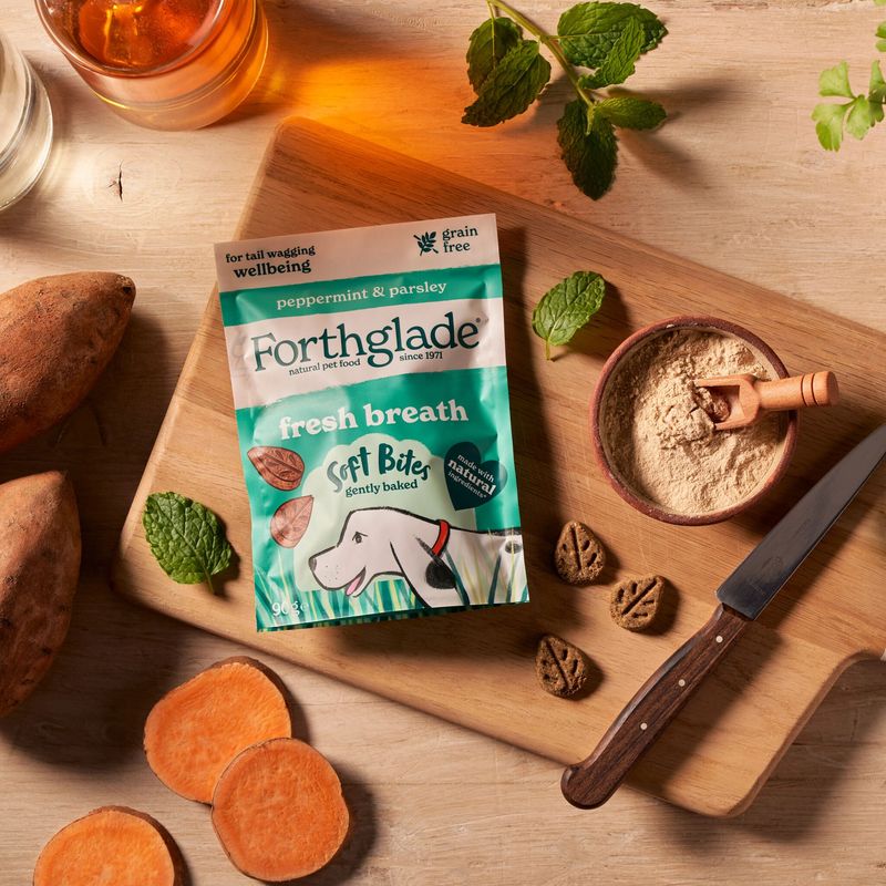 Forthglade Functional Natural Soft Bites - Fresh Breath || undefined || view 5