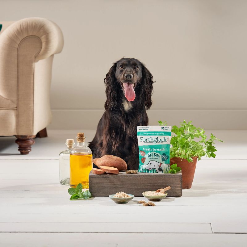 Forthglade Functional Natural Soft Bites - Fresh Breath || undefined || view 7