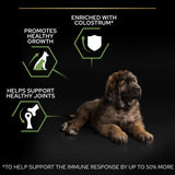 PURINA PRO PLAN Large Robust Puppy Healthy Start || undefined || view 5