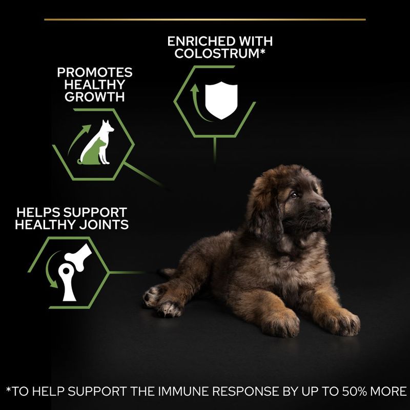 PURINA PRO PLAN Large Robust Puppy Healthy Start || undefined || view 5