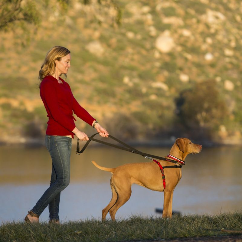 Halti Front Control Training Harness || Halti || view 2
