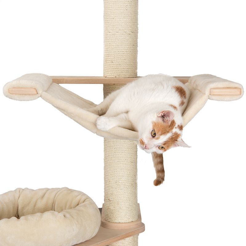 Cat tree with beige fabric hammock and sisal post. Cat lying in the hammock. Padded lying area visible below.