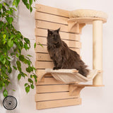 Wall-mounted wooden scratching post with hammock and seating area. Dark grey cat sitting on the hammock. Plant in the background.
