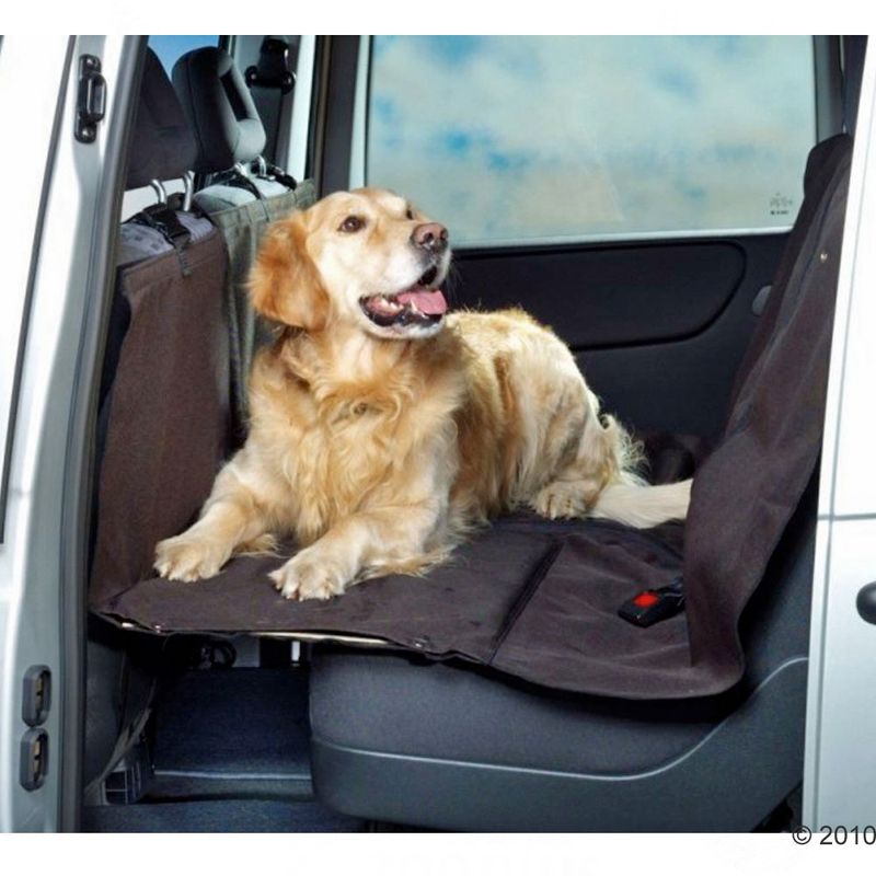 Dog sitting on a car seat cover protecting the back seat. Cover in dark colour with visible seat belt holder.