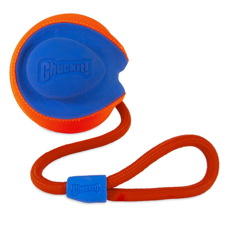 Chuckit! toy with blue and orange design, round ball housing made of plastic and fabric, attached to an orange loop with Chuckit! logo.