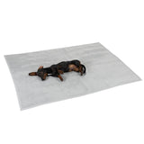 Dog lying on a grey mat. Product shows a pet mat for pets.