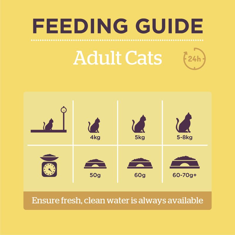 Burgess Adult Cat Rich in Chicken with Duck || Burgess || view 8