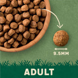 Harringtons Complete Adult Dog - Rich in Lamb & Rice || Harringtons || view 6