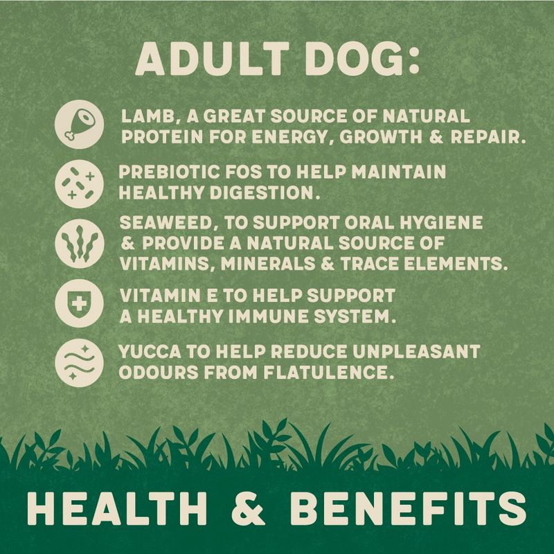 Harringtons Complete Adult Dog - Rich in Lamb & Rice || Harringtons || view 4