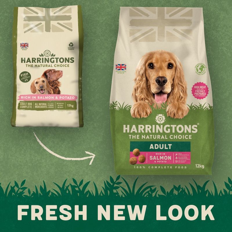 Harringtons Complete Adult Dog - Rich in Salmon & Potato || Harringtons || view 2