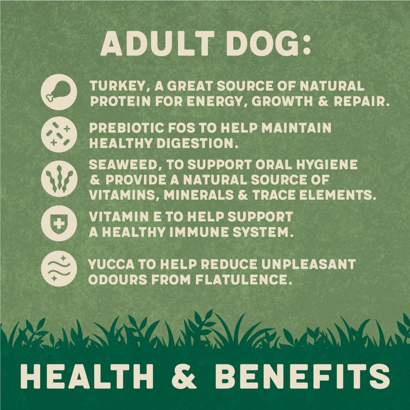 Harringtons Complete Adult Dog - Rich in Turkey with Veg || Harringtons || view 4