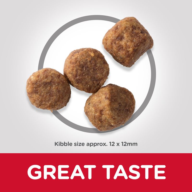 Hill’s Science Plan Mature Adult 7+ Medium with Chicken || Hill's Science Plan || view 2