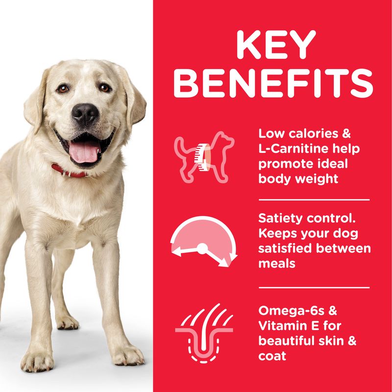 Hill's Science Plan Adult 1-5 Light Large Breed with Chicken || Hill's Science Plan || view 3