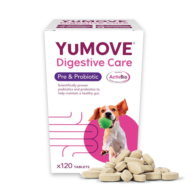 YuMOVE Digestive Care, 120 tablets. Contains prebiotics and probiotics to help maintain a healthy gut. Powered by ActivBio. Scientifically proven ingredients.