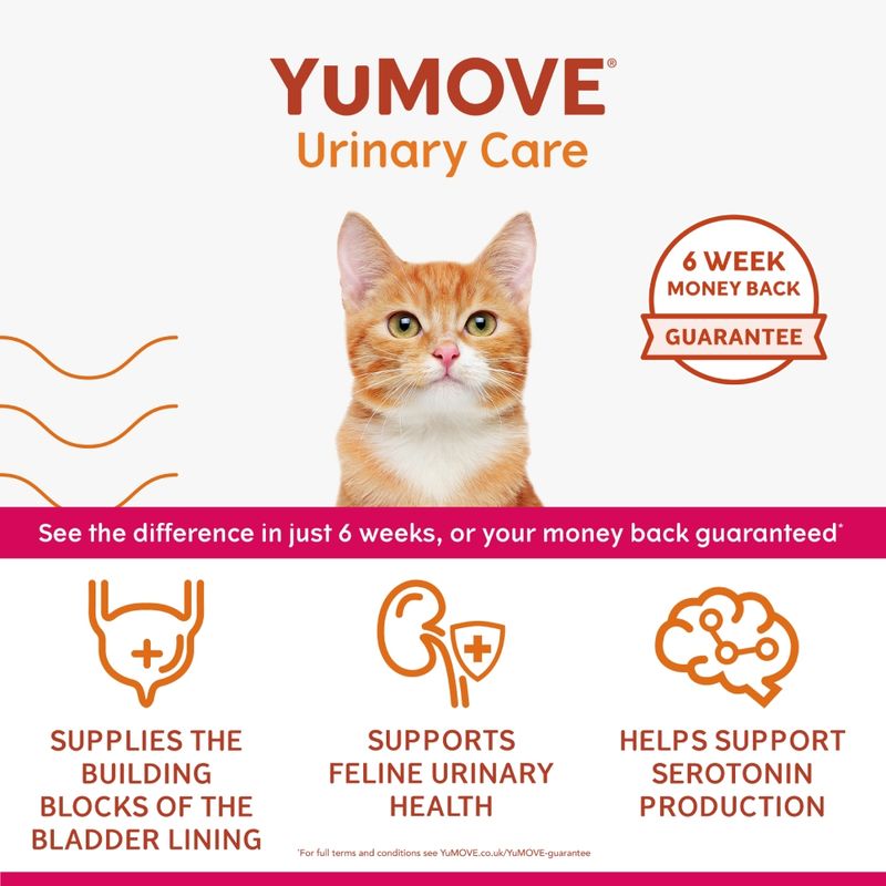 YuMOVE Urinary Care. Six week money back guarantee. Supplies building blocks of the bladder lining, supports feline urinary health, helps support serotonin production.