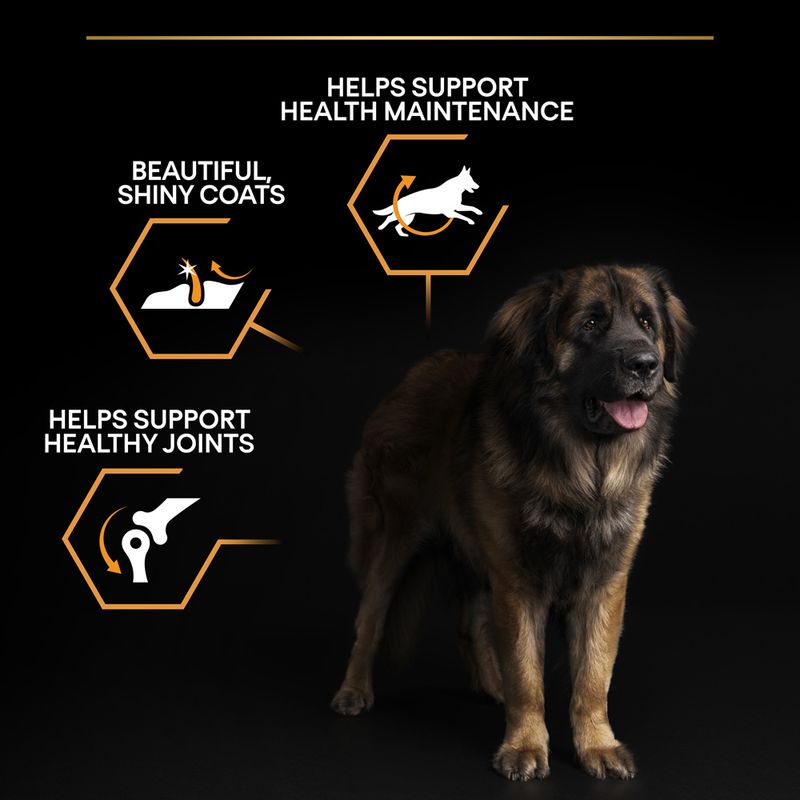 PURINA PRO PLAN Large Robust Adult Everyday Nutrition || Pro Plan || view 6