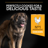 PURINA PRO PLAN Large Robust Adult Everyday Nutrition || Pro Plan || view 7